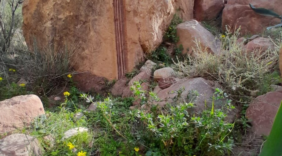 Wild Dana trail