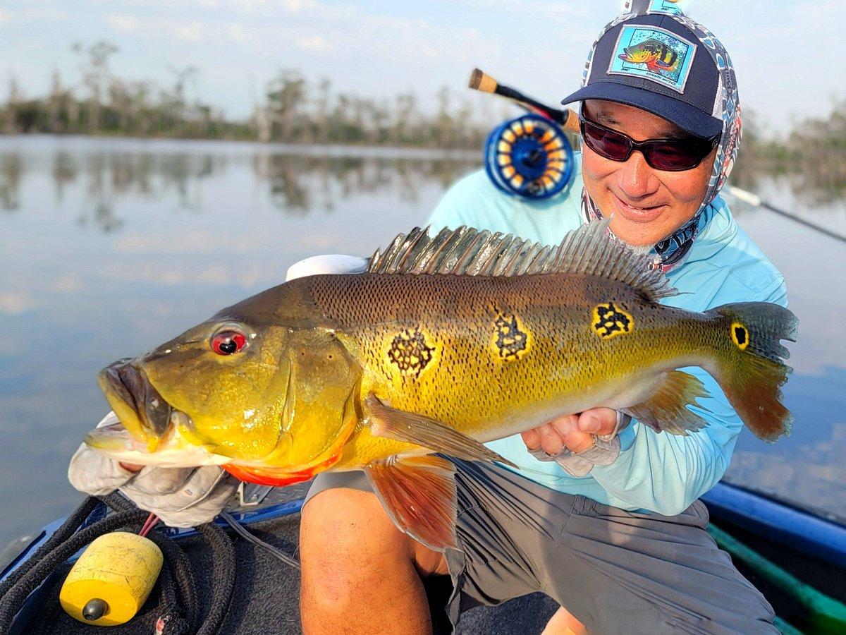 fishing using bow and arrow - Brazil NUTS - Brazil - WorldNomads.com