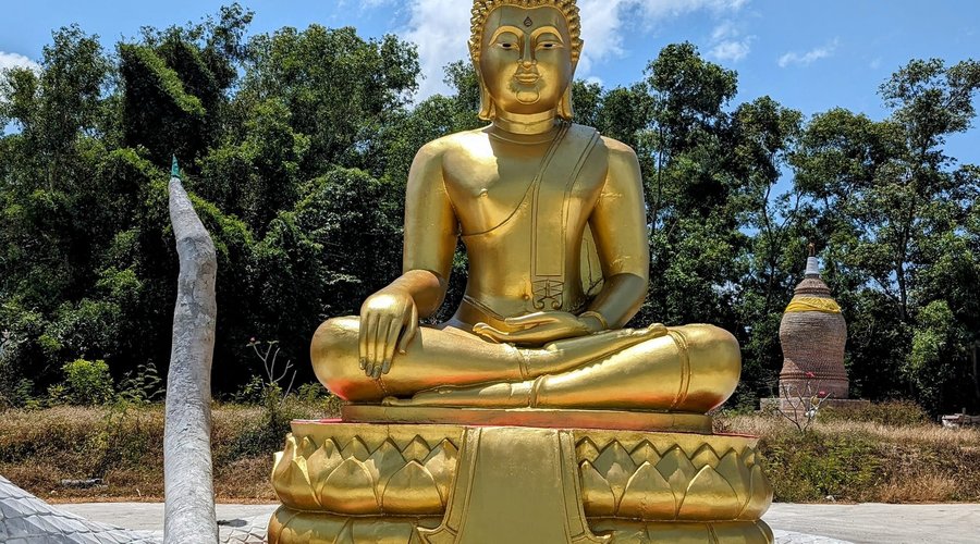 Buddha with a view.