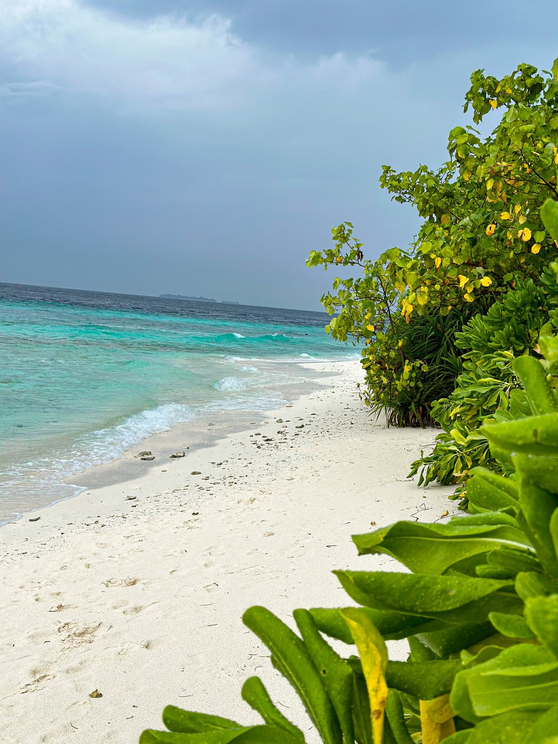 KOIMALA BEACH UKULHAS - Specialty Resort Reviews, Photos, Rate ...