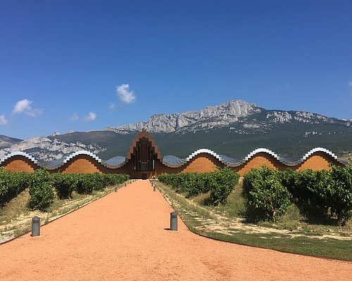 wine tours rioja region spain