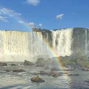 National Parks of Paraguay: King of the Paraguayan Skies