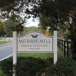 Things to Do in Orange Va: Unforgettable Adventures Await