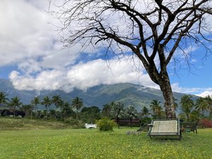 旅客