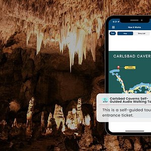 carlsbad caverns tour reservations