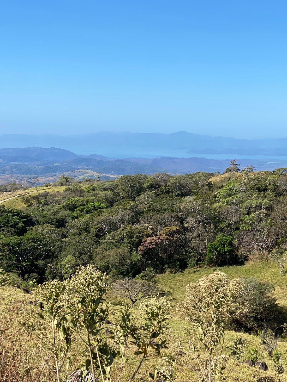 BURBI LAKE LODGE $194 ($̶2̶2̶8̶) - Updated 2024 Prices & B&B Reviews - Los Tornos, Costa Rica BURBI LAKE LODGE $194... 