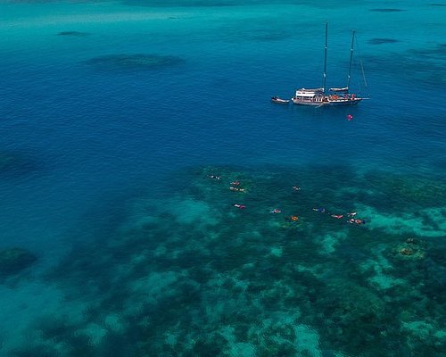 barrier reef tours