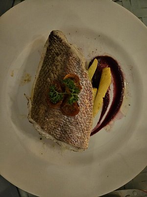 Red Snapper was a highlight at Sails and Tales