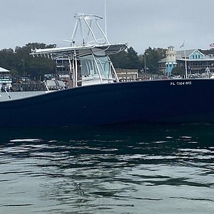 unicorn leather jacket fish - Picture of O Sea D Fishing Charters, Destin -  Tripadvisor