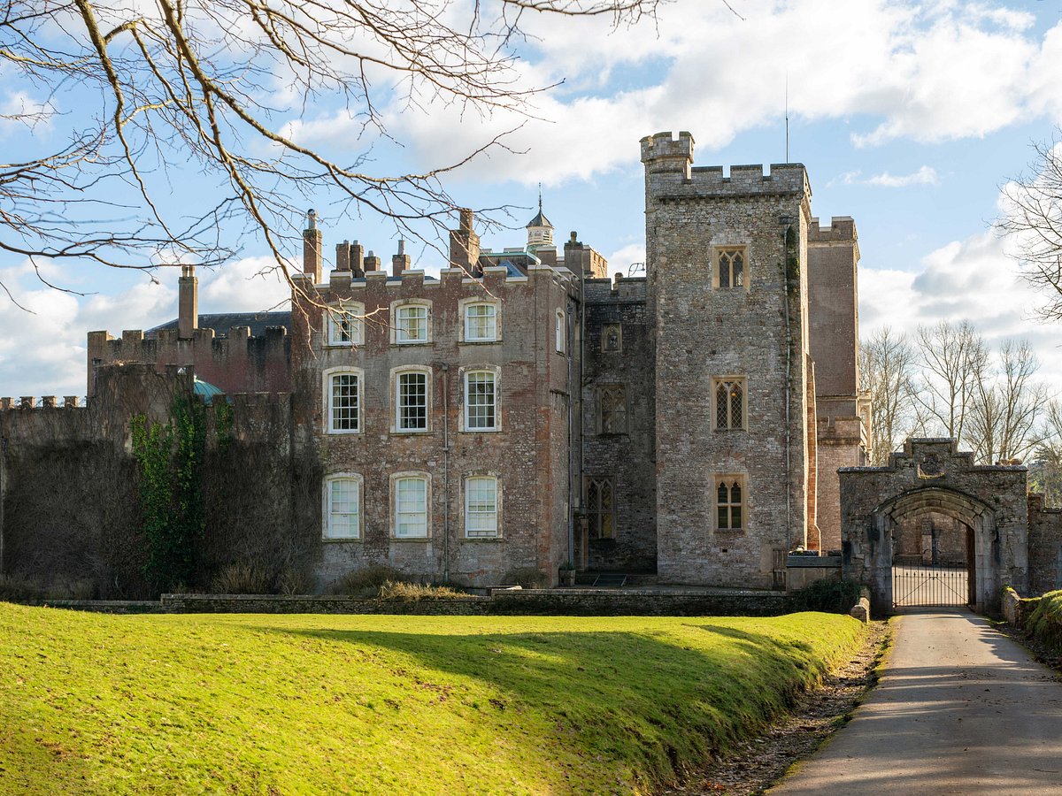 Powderham, Kenton: лучшие советы перед посещением - Tripadvisor