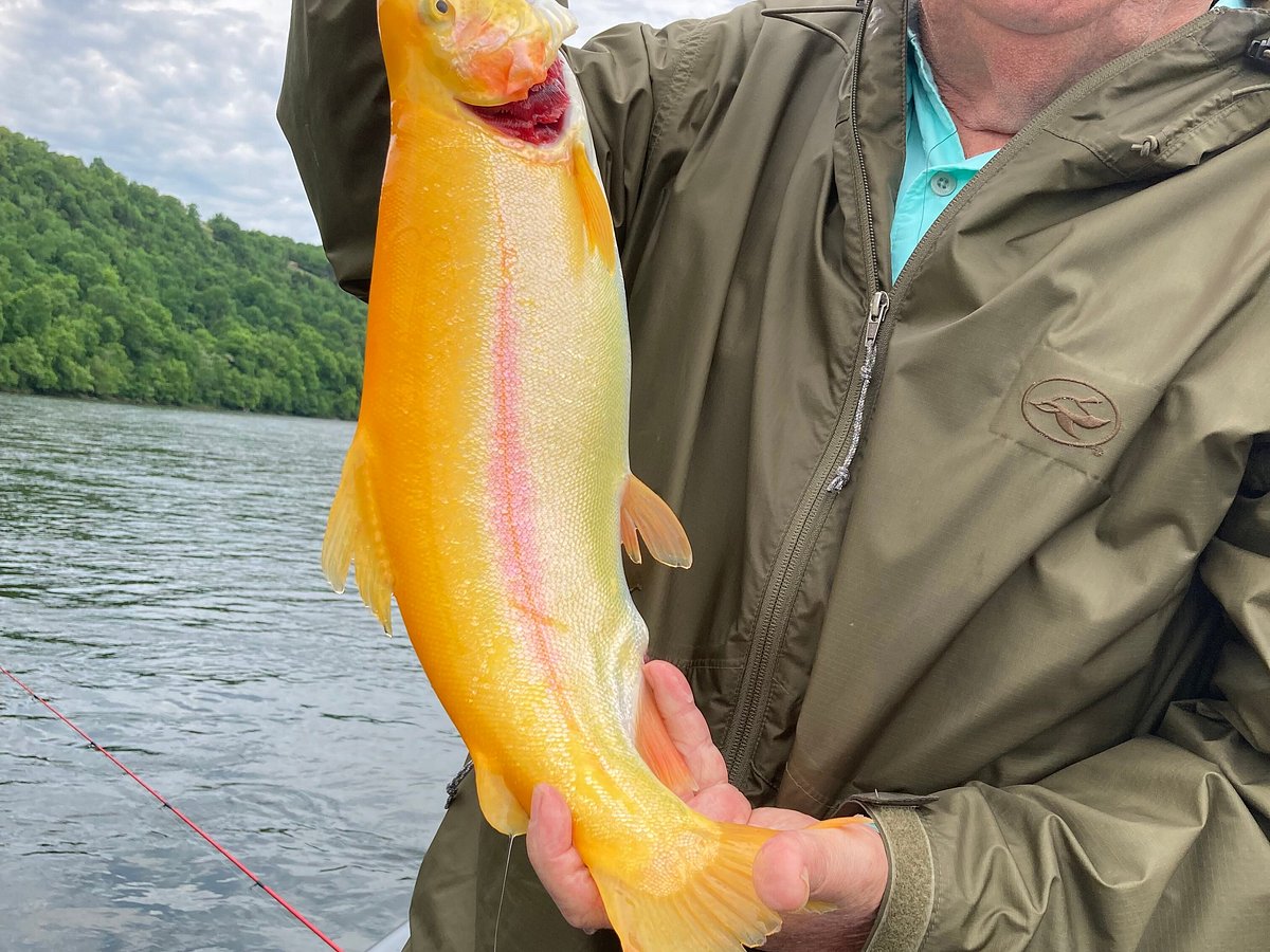 Papa Bill's White River Trout Guide Service - All You Need to Know