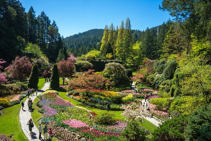 2024 Vancouver Victoria Tour Visit Craigdarroch Castle and