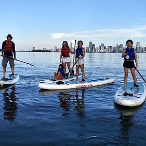 Miami: Kayak or SUP Island and Wildlife Tour 2024