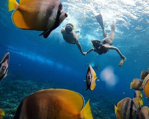 8 Amazing Underwater Sculptures and Gardens in Bali - Great Bali