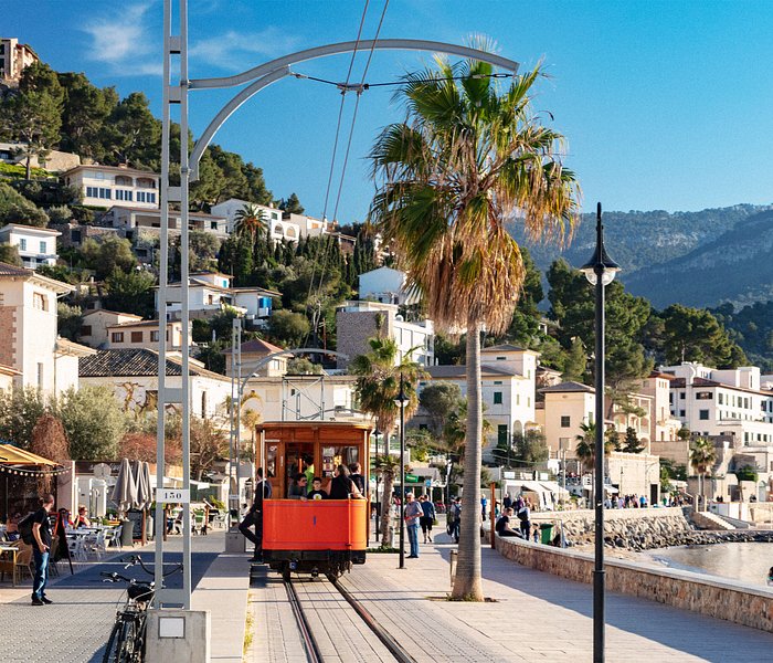 4 Days and Nights in Palma - Palma de Mallorca Message Board - Tripadvisor