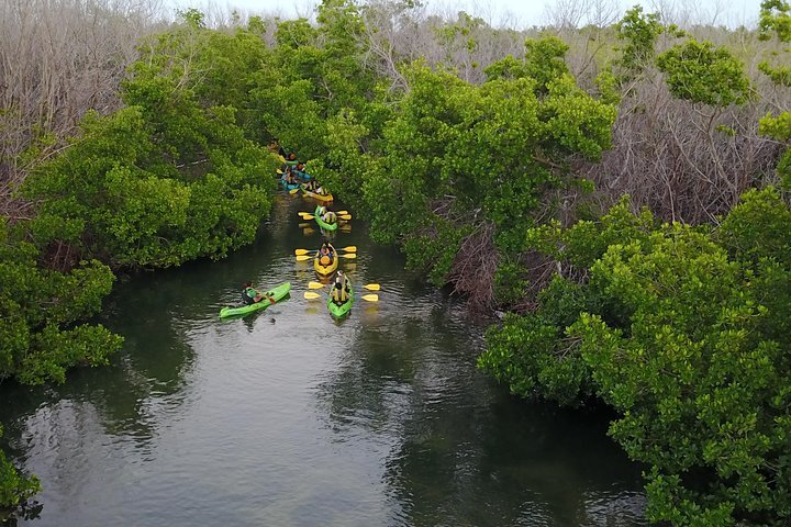 2024 Puerto Rico Bio Bay Kayak Adventure Tour