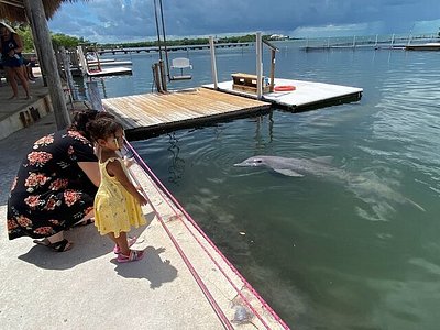 THE 10 BEST Hidden Gem Attractions in Key Largo (Updated 2024)