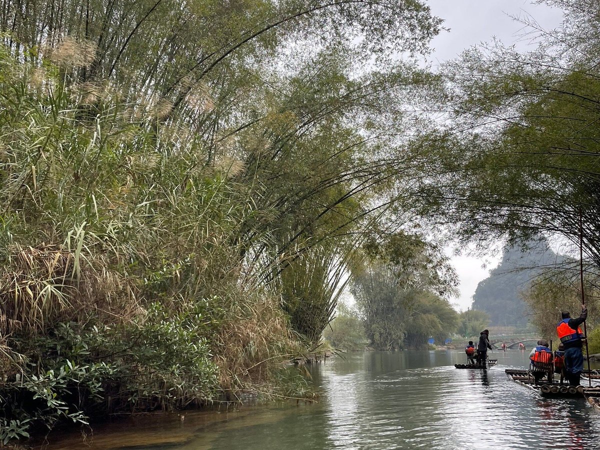 Bamboo Rafting, Округ Яншо: лучшие советы перед посещением - Tripadvisor