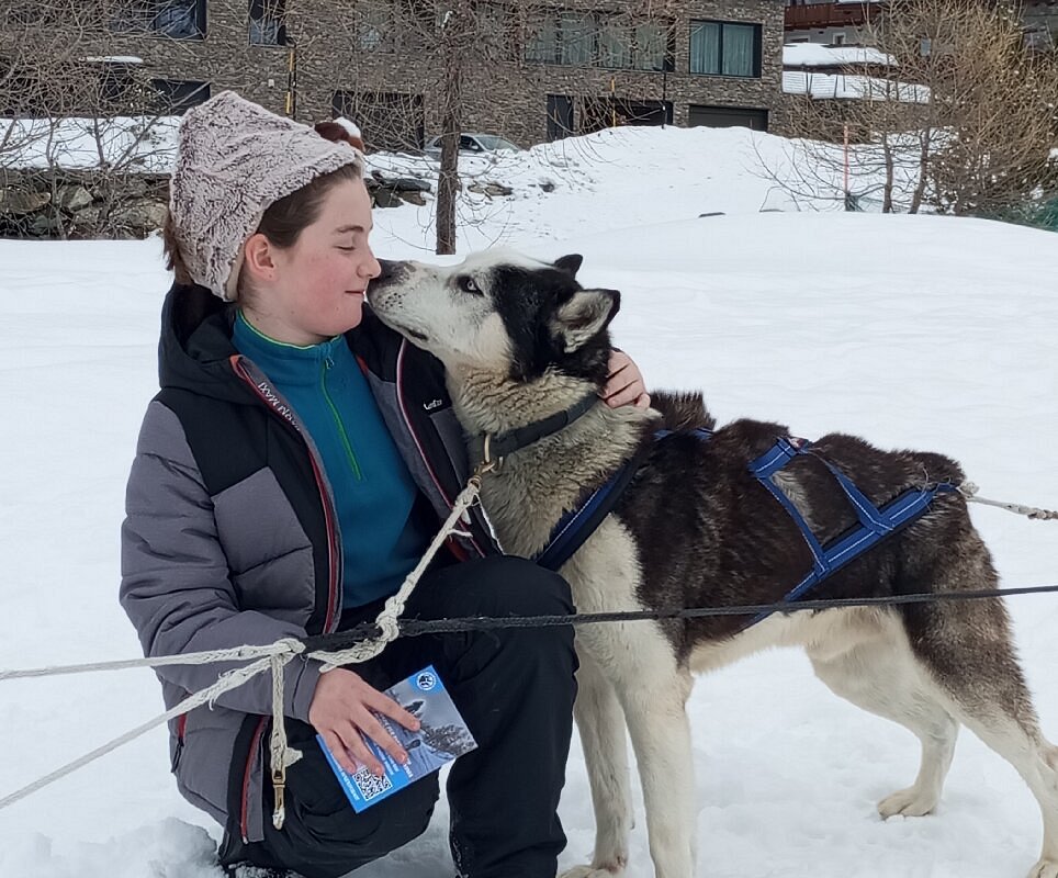 Considering Graduate or Professional School: Husky Experience