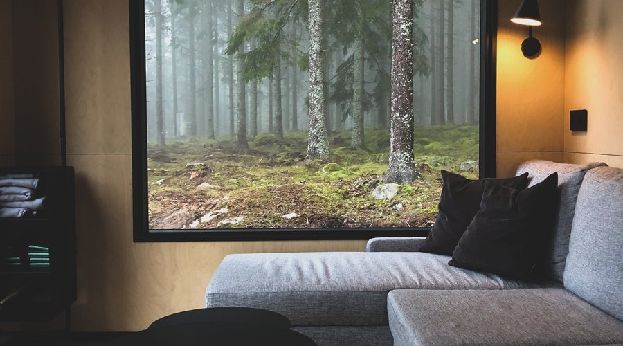 View from Tiny house Vilgot. The forest is a magical place!