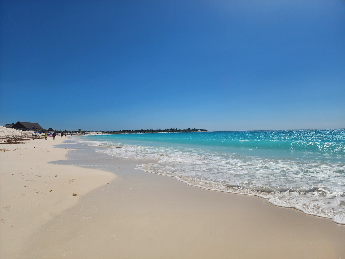 Starfish Cayo Largo Beach: Pictures & Reviews - Tripadvisor