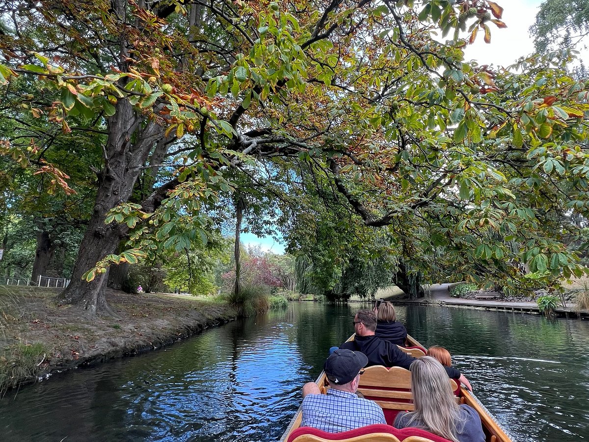 Punting on the Avon - All You Need to Know BEFORE You Go (2024)