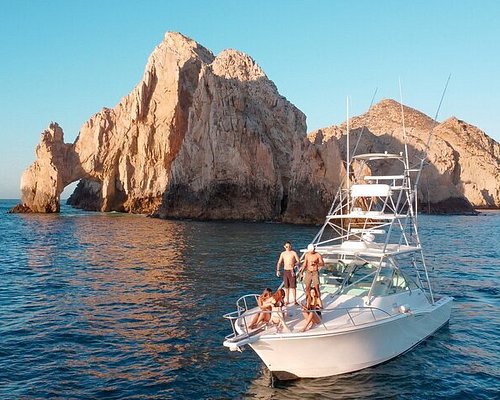 whale watching tours cabo san lucas
