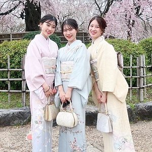 Women's Japanese Yukata Kimono - Three Friends of Winter in Yellow – Modern  Sakura