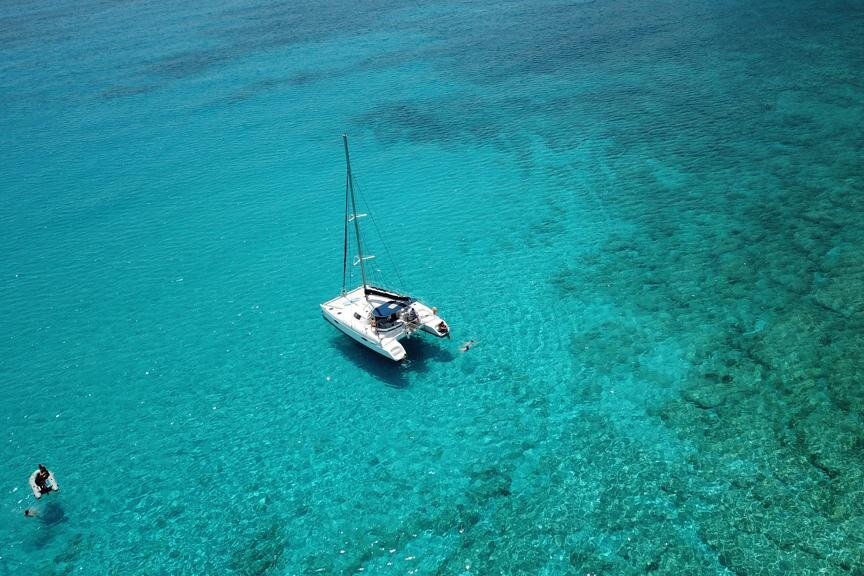 Dolphin Tours Rhodos - Lardos - Dolphin Tours Rhodos의 리뷰 - 트립어드바이저