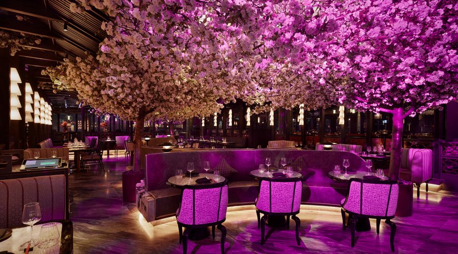 CHERRY BLOSSOM SEASON 