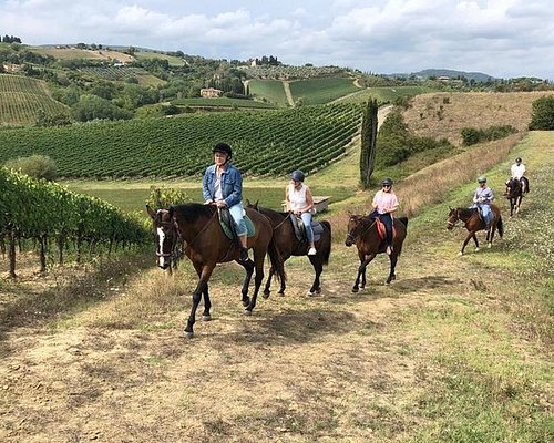 wine tour agriturismi toscana