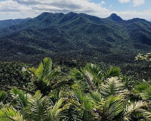 el yunque self guided tour
