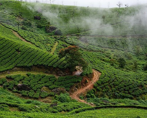 my travel experience to munnar
