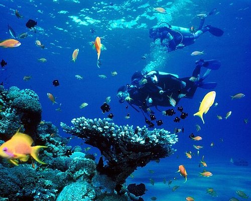 Top 10 Scuba Diving and Snorkeling Experiences in Rhodes - Rhodes Scuba  diving, Watersports, Luxury Yachting