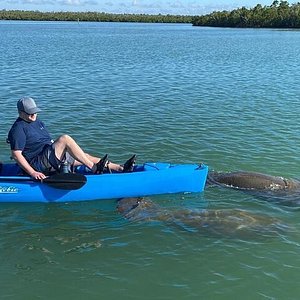 kayak tour experiences