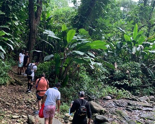 guided tour el yunque