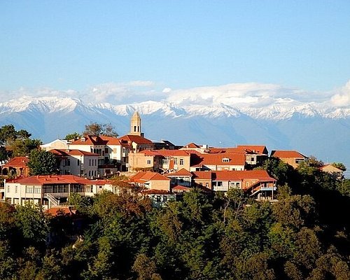 georgia wine tourism