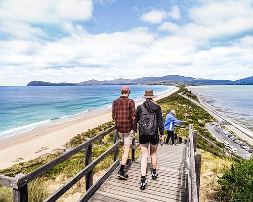 bruny island tours reviews