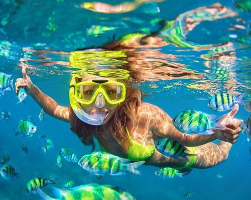 THE 10 BEST Paradise Island Scuba & Snorkeling Activities (2024)