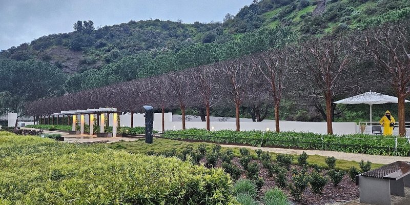 The gardens at the Getty Center