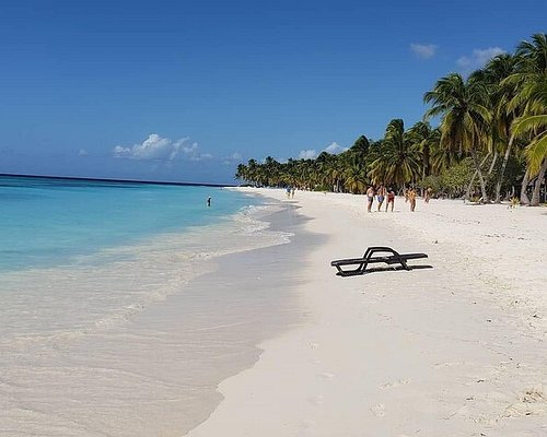 what is the saona island excursion