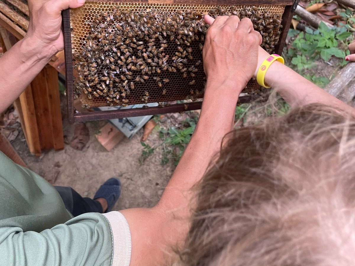 Phu Quoc Bee Farm, Остров Пху-Куок: лучшие советы перед посещением -  Tripadvisor