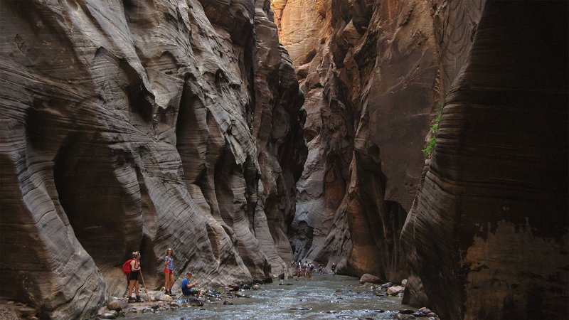 Visitors hiking The Narrows, at Zion National Park, Utah