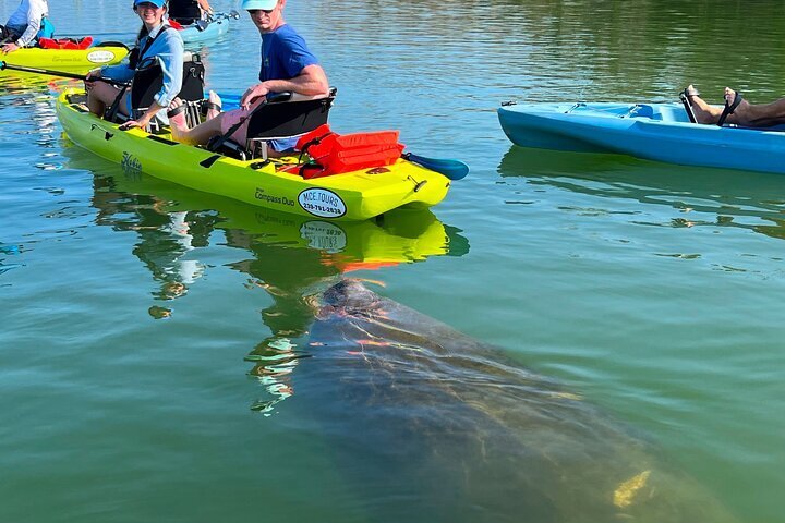 THE 10 BEST Naples Kayaking Canoeing Activities Updated 2024