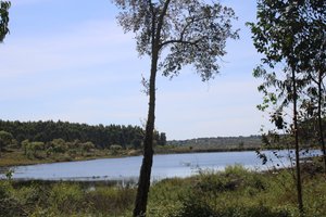 Viajante