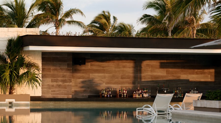 Life & Vibe Swim-up Bar