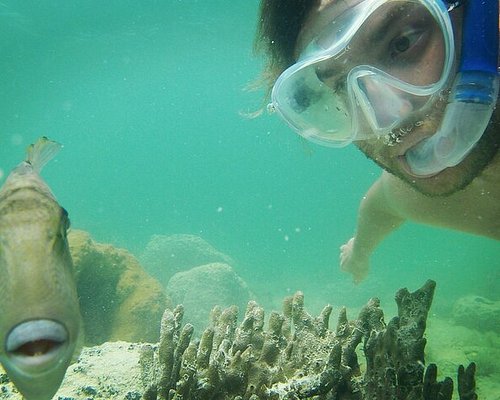 Key West Snorkel Experience with Live Music, Cocktails & More!