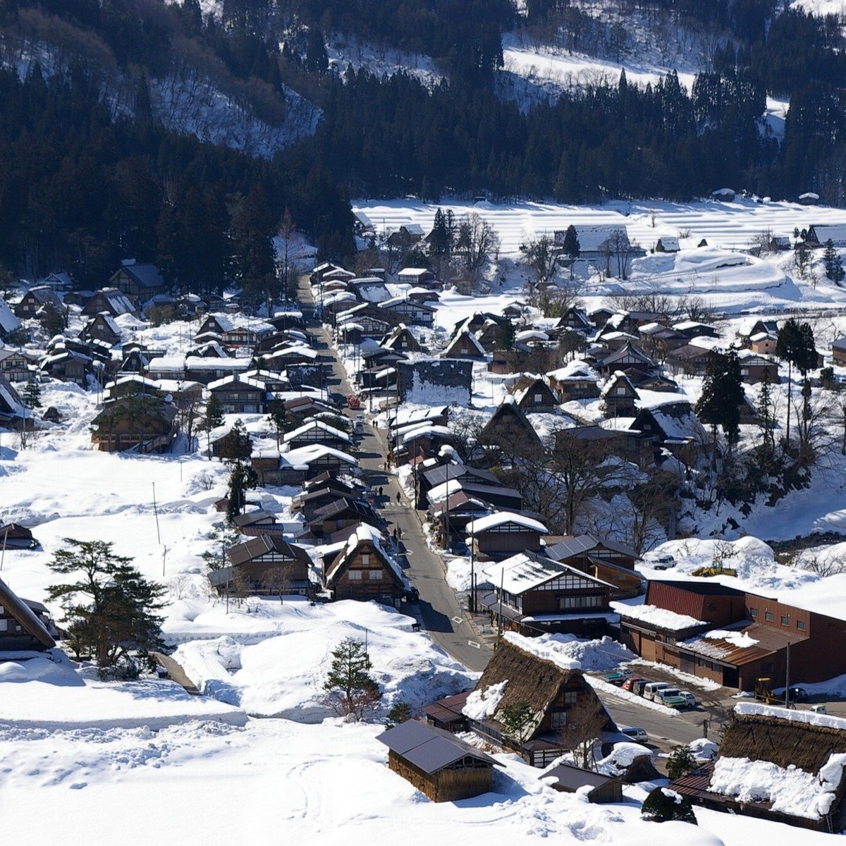 Japan Awaits (Shirakawa) Lohnt es sich? Aktuell für 2025 (Mit fotos)
