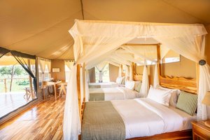 Room & Suite