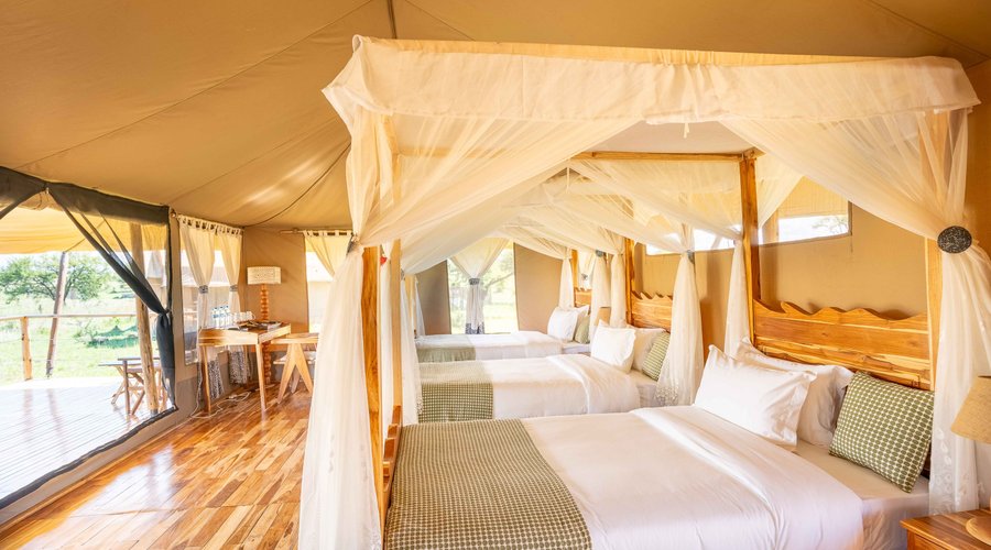Triple bed with amazing surroundings for you and your friend's memory-making journey.